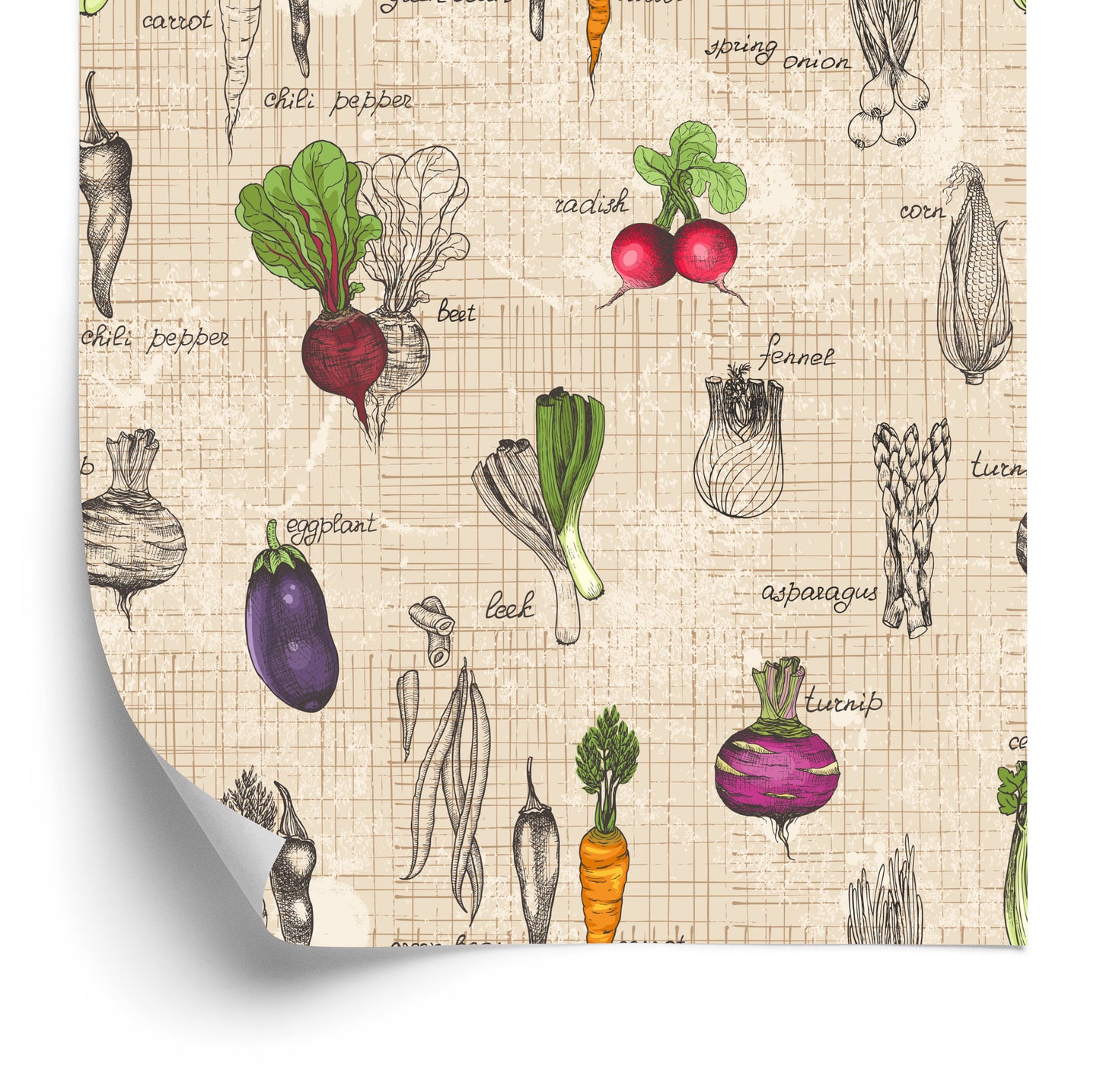 Wallpaper Drawings Of Vegetables In Vintage Style