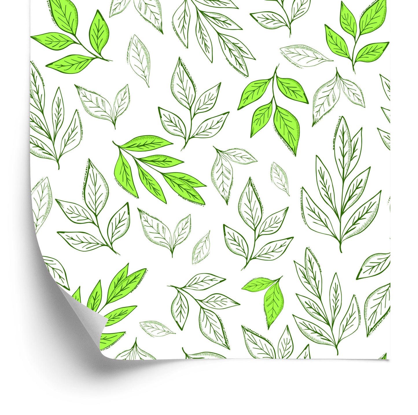 Wallpaper Leaves As Drawn