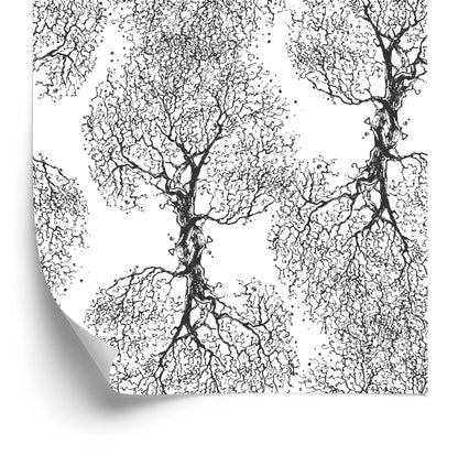 Wallpaper Original Black And White Trees
