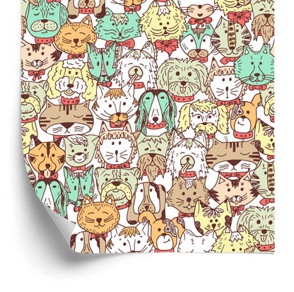 Wallpaper Colorful Dogs And Cats
