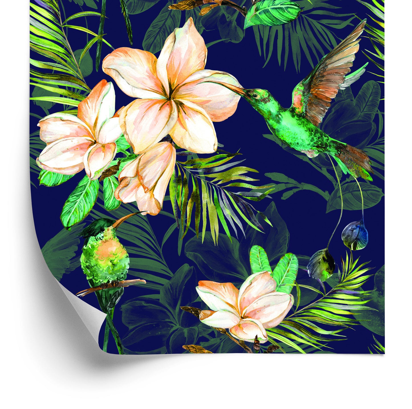 Wallpaper Tropical Plants And Birds