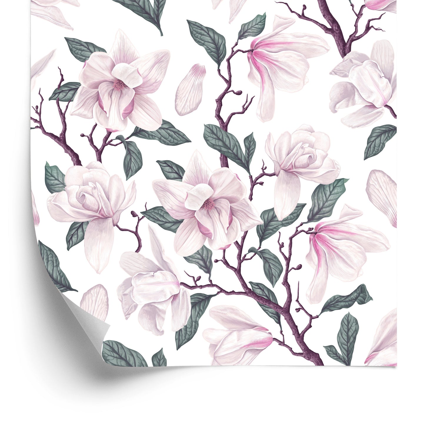 Wallpaper Magnolia Flowers In Bloom Painted