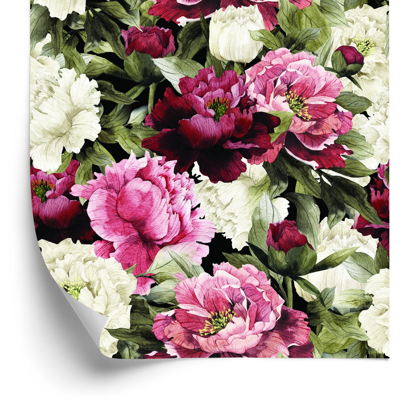 Wallpaper Rose Flowers