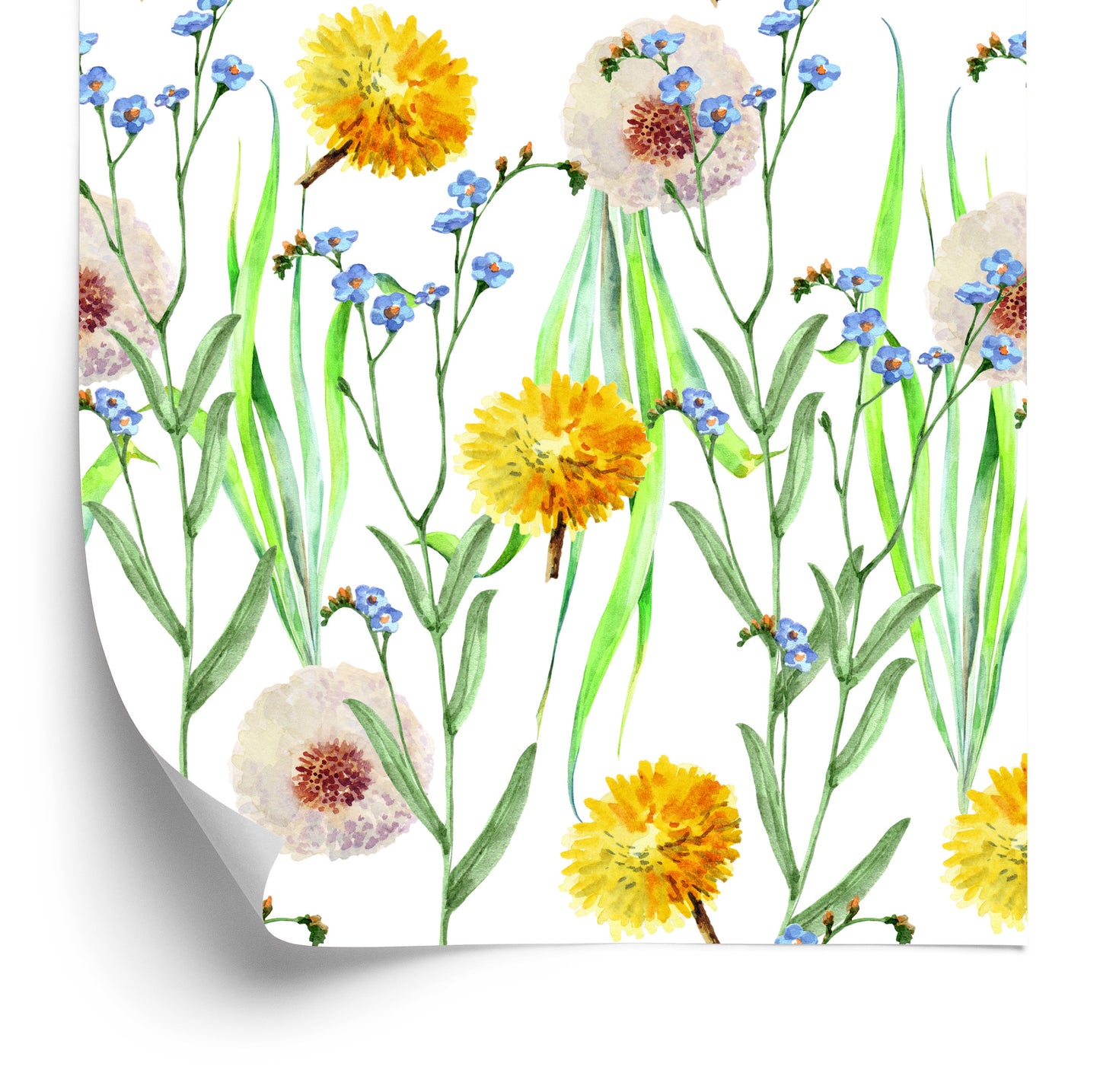 Wallpaper Dandelions And Wildflowers