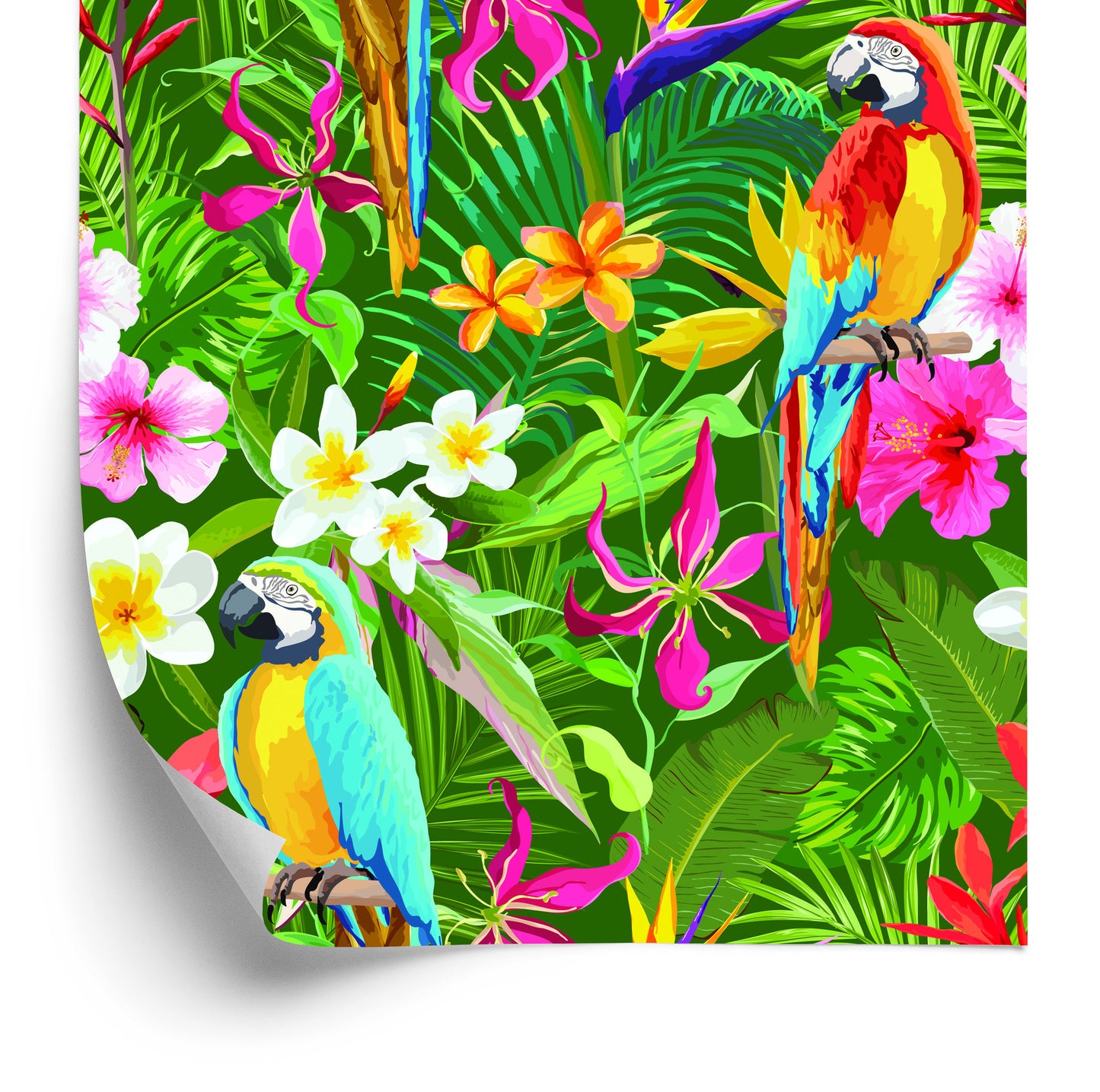 Wallpaper Parrots, Tropical Leaves And Flowers