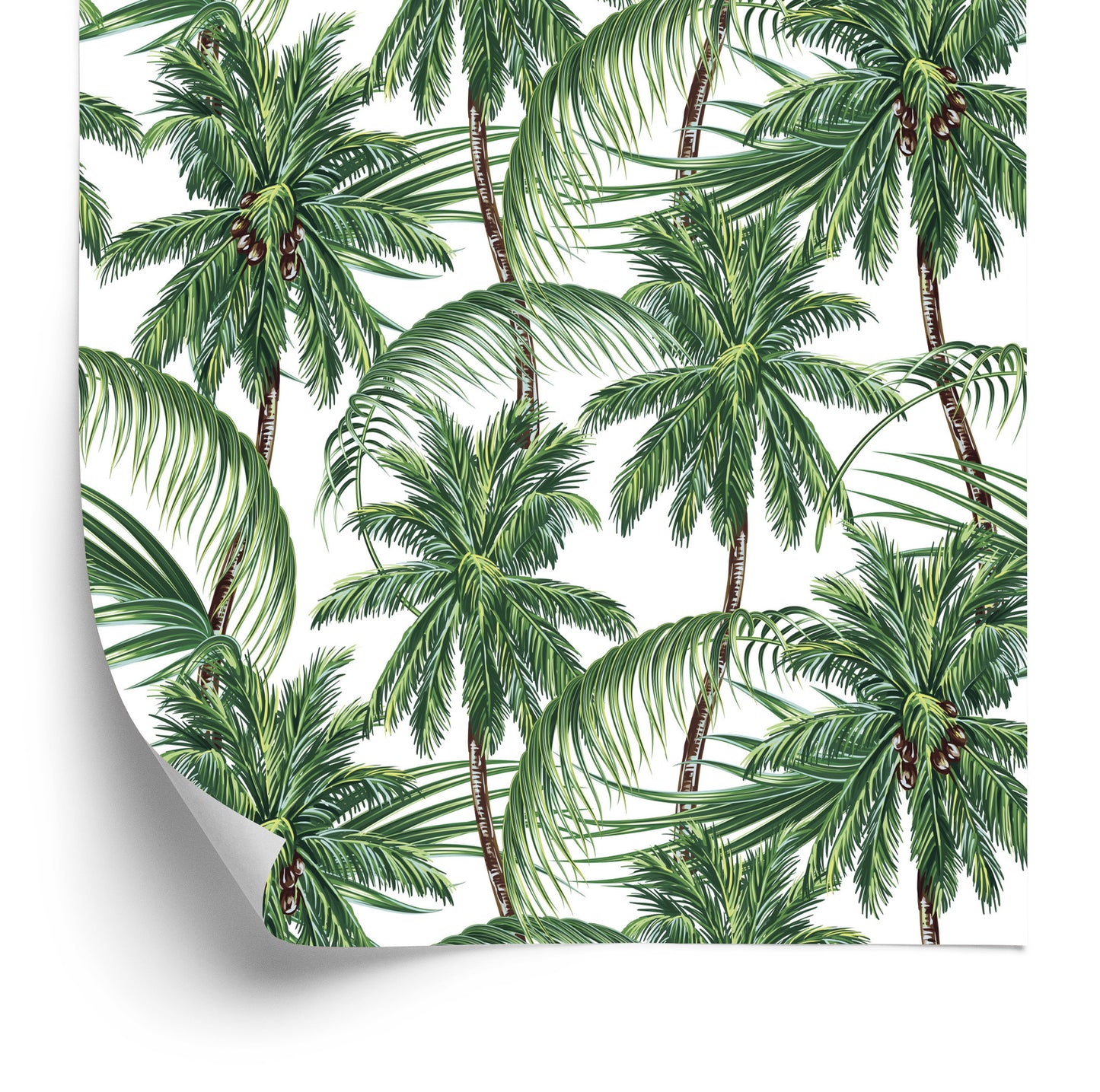 Wallpaper Green. Nature. Palm Trees. Bedroom