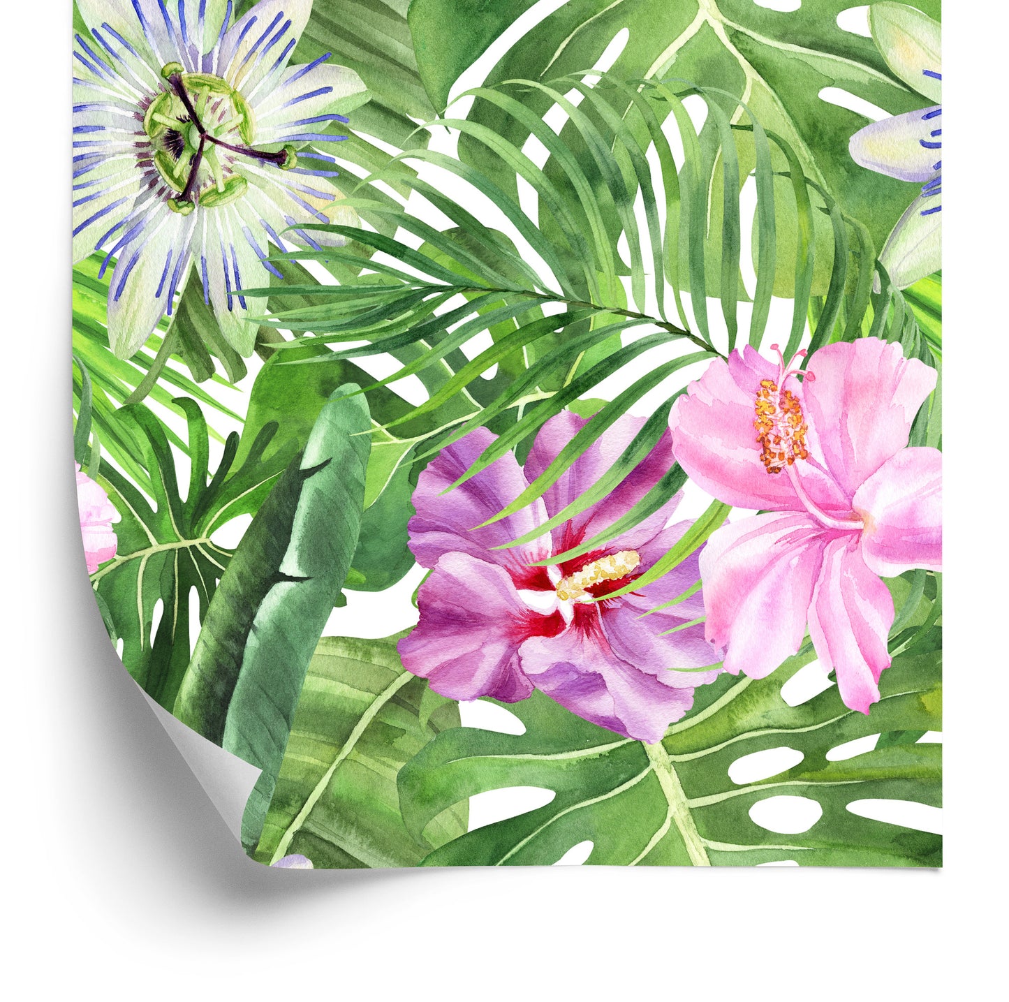 Wallpaper Multi-Colored Flowers