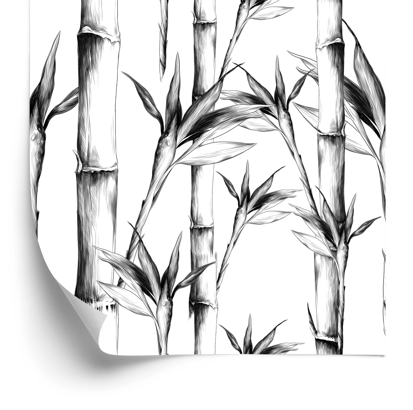 Wallpaper Black And White Bamboo Forest
