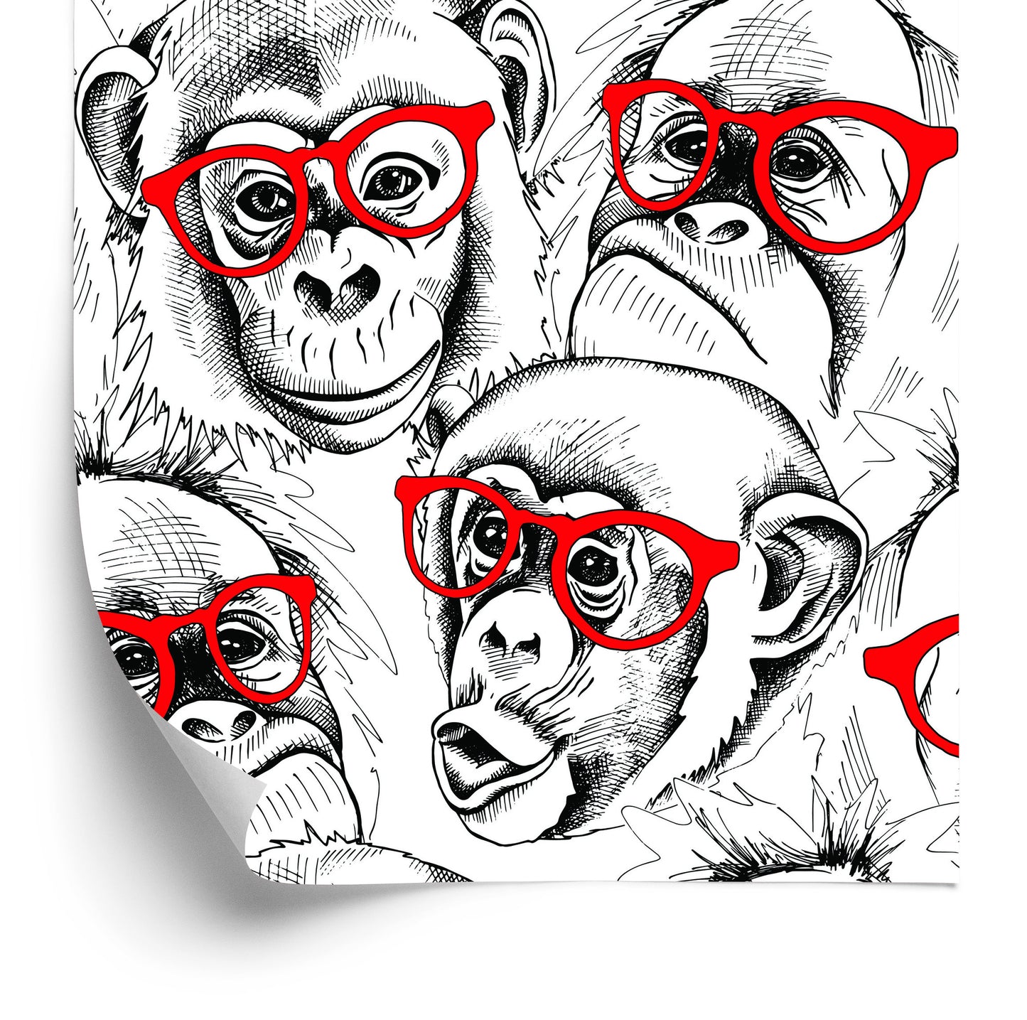 Wallpaper Chimpanzees