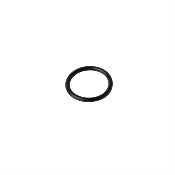 Waring 'O' Ring ag150
