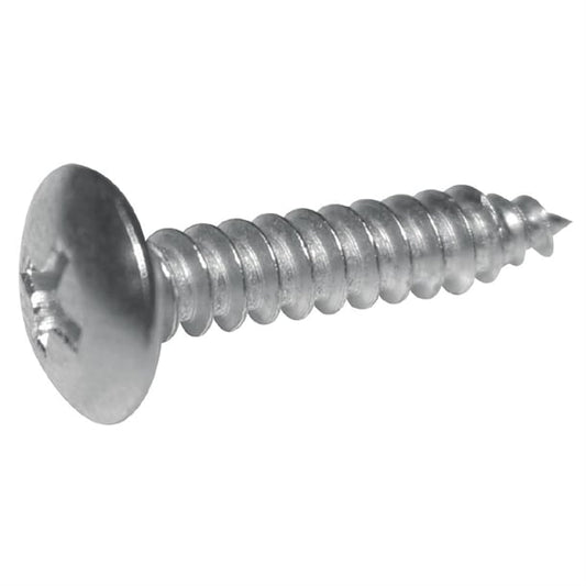 Buffalo Stainless Steel Screws ag161