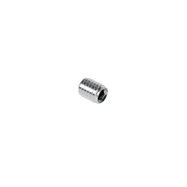 Santos Screw HC M 6 X 8 ag233