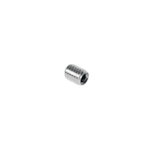 Santos Screw HC M 6 X 8 ag233