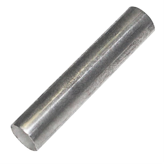Polar Lower Door Shaft Pin ak928