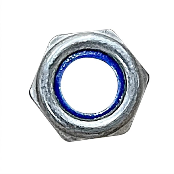 Buffalo Nut as097