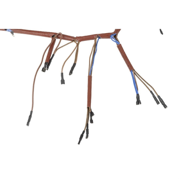 Buffalo 600 Series Internal Wiring Group at017