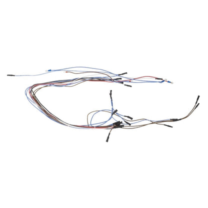 Buffalo 600 Series Internal Wiring Group at032