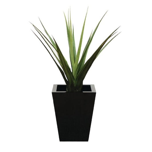Pandanus Green 900mm cc504