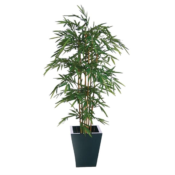 Natural Bamboo 1800mm cc576