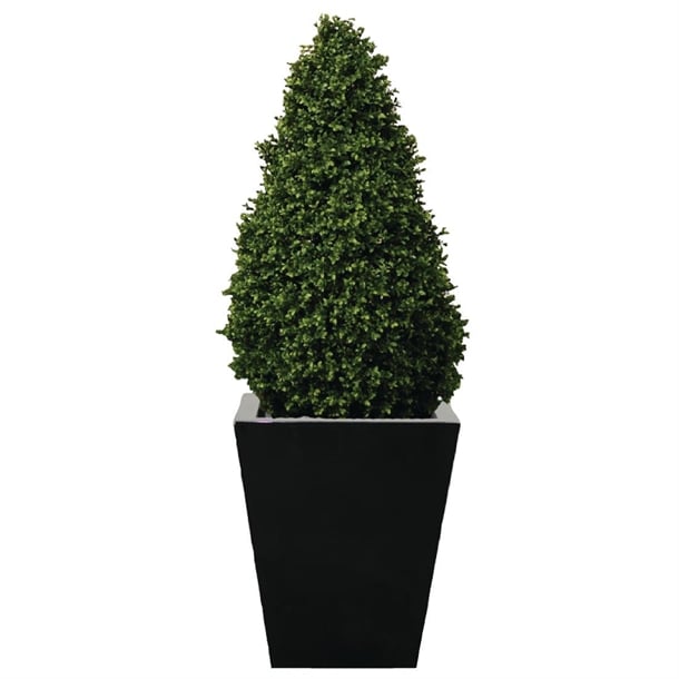 Artificial Topiary Buxus Pyramid 1200mm cd160