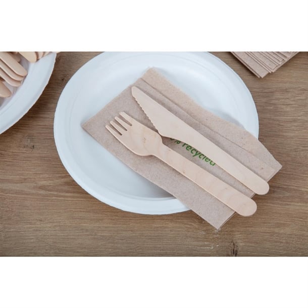 Fiesta Compostable Disposable Wooden Knife (100 Pack) cd902