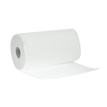 Regina Thirst Pockets Kitchen Roll White 2-Ply 22.9m (6 Pack) ct325