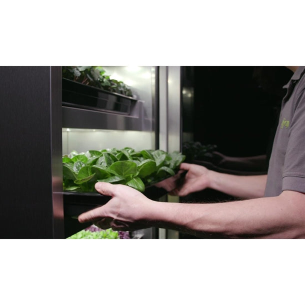 Evogro 4 Series Plant Growing Cabinet p_df965