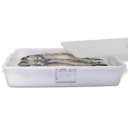 Araven Food Storage Container with Lid 40Ltr dn910