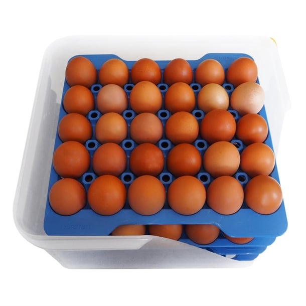 Araven Airtight Container with 4 Egg Trays GN 2/3 200mm dp209