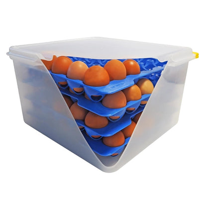 Araven Airtight Container with 4 Egg Trays GN 2/3 200mm dp209