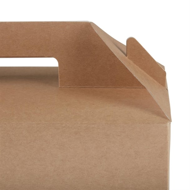 Colpac Recyclable Kraft Gable Boxes Large (125 Pack) fa362