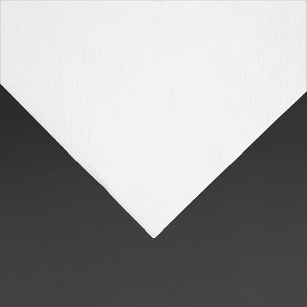 Fiesta Recyclable Cocktail Napkin White 24x24cm 2ply 1/4 Fold (4000 Pack) fe216