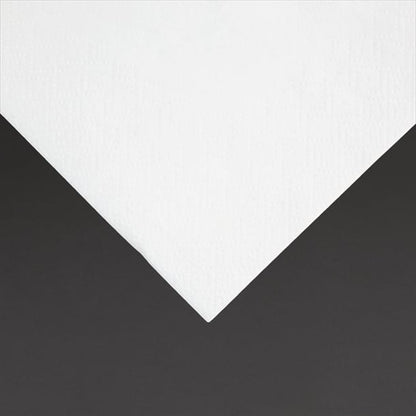Fiesta Recyclable Cocktail Napkin White 24x24cm 2ply 1/4 Fold (4000 Pack) fe216