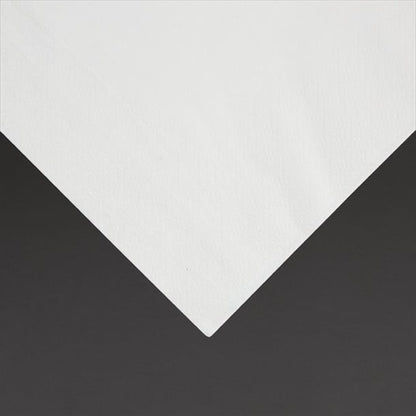 Fiesta Recyclable Lunch Napkin White 33x33cm 2ply 1/4 Fold (2000 Pack) fe219
