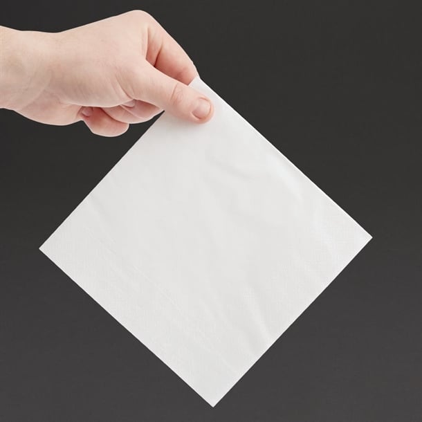Fiesta Recyclable Lunch Napkin White 33x33cm 2ply 1/4 Fold (2000 Pack) fe219