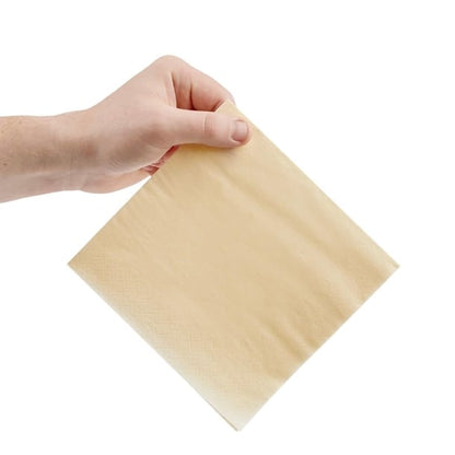 Fiesta Recyclable Lunch Napkin Cream 33x33cm 2ply 1/4 Fold (2000 Pack) fe220