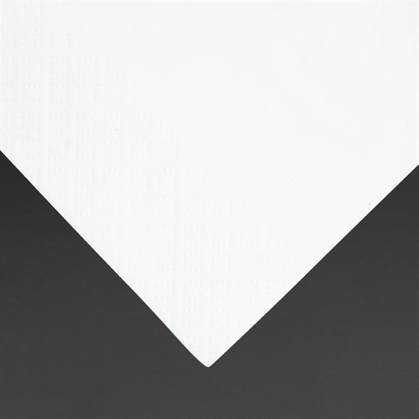 Fiesta Recyclable Dinner Napkin White 40x40cm 3ply 1/8 Fold (1000 Pack) fe258