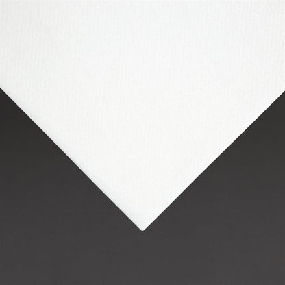 Fiesta Recyclable Premium Tablin Dinner Napkin White 40x40cm Airlaid 1/4 Fold (500 Pack) fe264