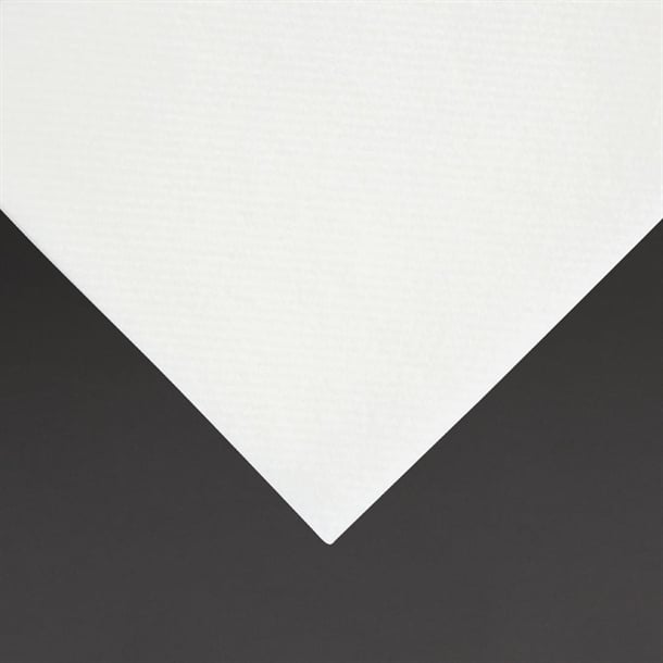 Fiesta Recyclable Premium Tablin Dinner Napkin White 40x40cm (500 Pack) fe271