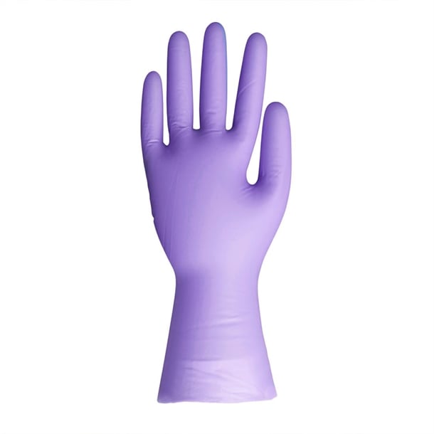 Hygiplas Vinyl Purple Powder Free Gloves p_fj749