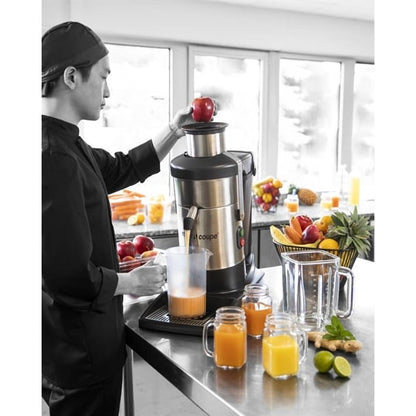Robot Coupe Juicer J100 fs993