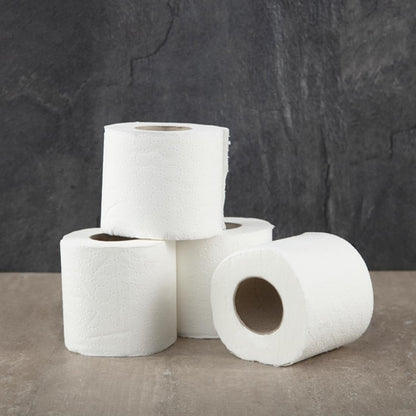 Jantex Standard Toilet Paper 2-Ply (40 Pack) gd751