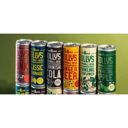 Jolly's Cornish Ginger Beer Cans 250ml (24 Pack) hn943