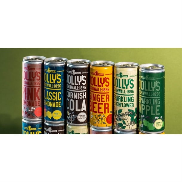 Jolly's Cornish Sparkling Elderflower Cans 250ml (24 Pack) hn945