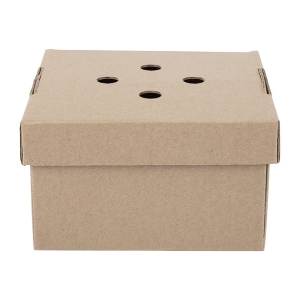 Fiesta Compostable Fold-Out Burger Boxes (100 Pack) hp942