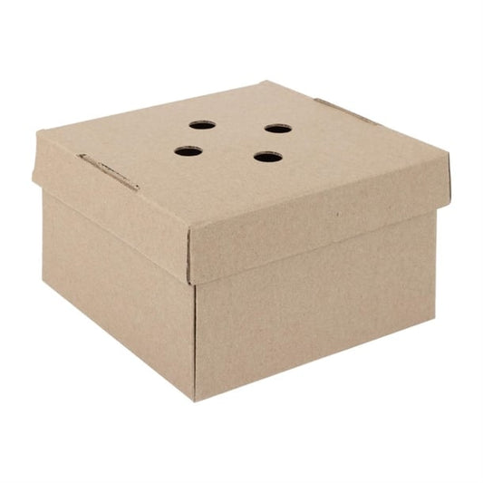 Fiesta Compostable Fold-Out Burger Boxes (100 Pack) hp942