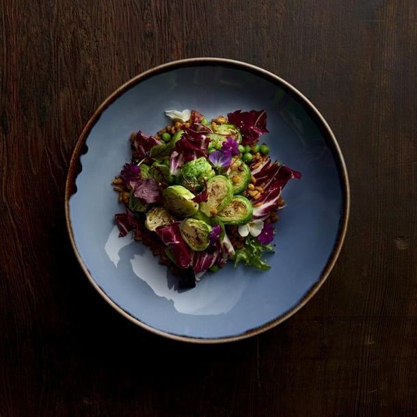 Dudson Harvest Indigo Coupe Bowls 247mm (12 Pack) hr494