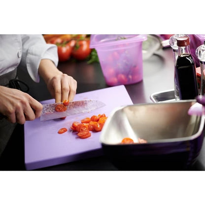 Pujadas Purple Polinorm Gastronorm Lid 1/2GN ht885