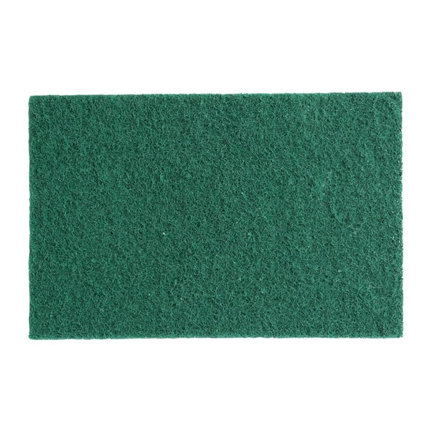 Jantex Scouring Pads - Green (10 Pack) p_hx234