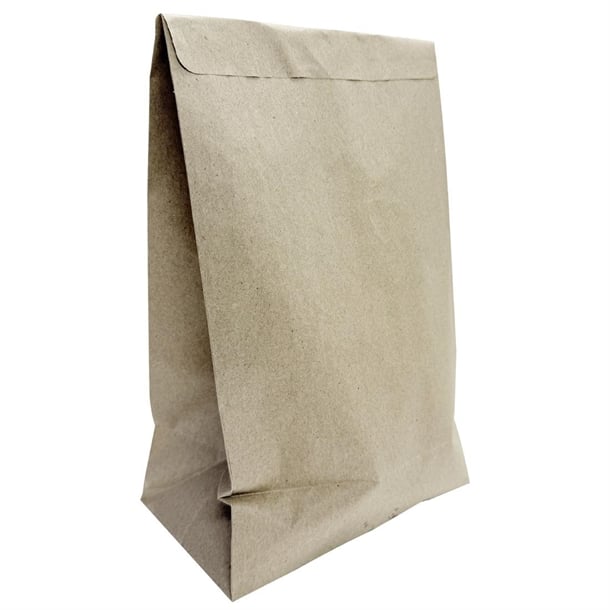 Fiesta Recyclable Sealable Takeaway Bags Large (250 Pack) ja319